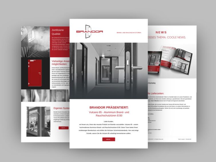 newsletter_Brandor-1